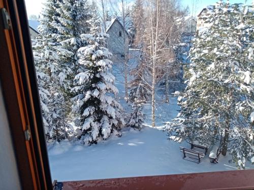 Imagen de la galería de Apartments Dobra Vila, en Zlatibor