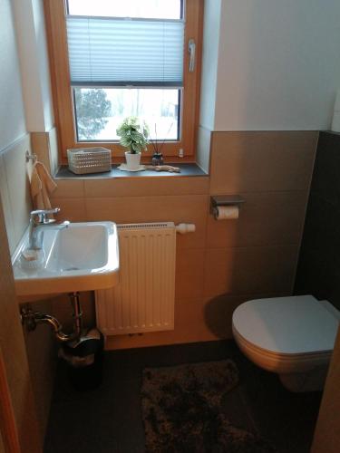 a bathroom with a sink and a toilet and a window at Appartements Kumming - Urlaub inklusive Nationalparkcard in Rauris