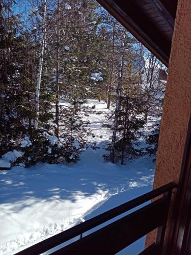 Imagen de la galería de Apartments Dobra Vila, en Zlatibor