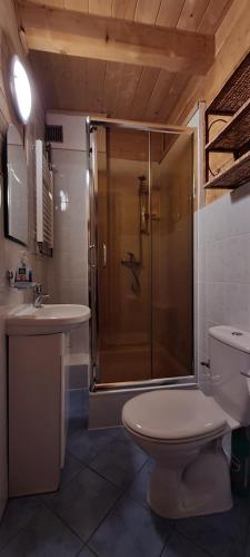 y baño con ducha, aseo y lavamanos. en ChatauBrata, en Krynica-Zdrój