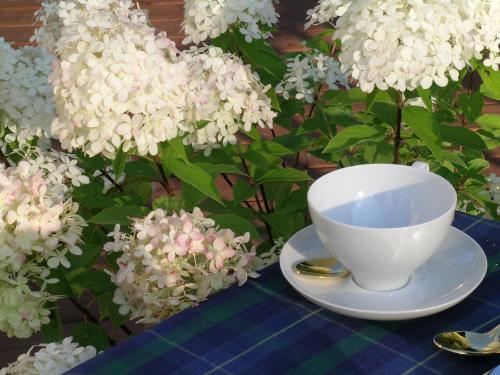 a white cup and saucer on a table with flowers at Plantation House Bed & Breakfast in Port Hope