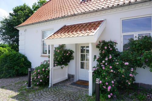 a white house with a door and a bush with pink roses at Old Roses Guesthouse in Broager