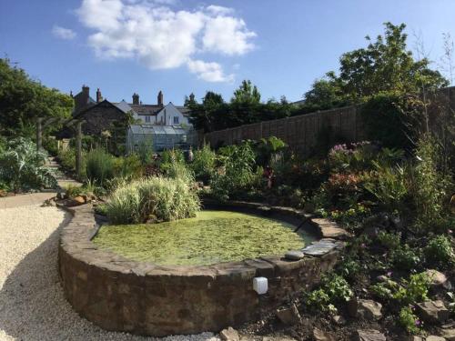 a small pond in the middle of a garden at The Hermitage in Great Torrington