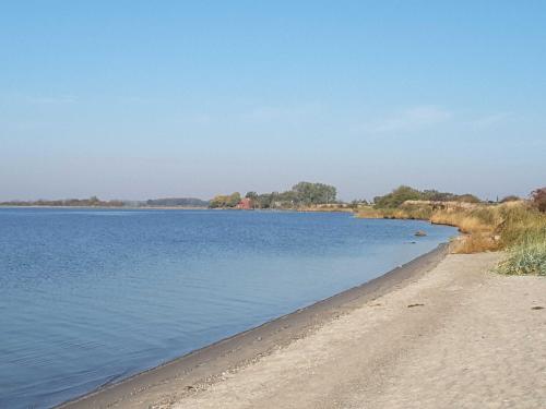 a sandy beach next to a body of water at Ruegen Fewo 168 in Zudar