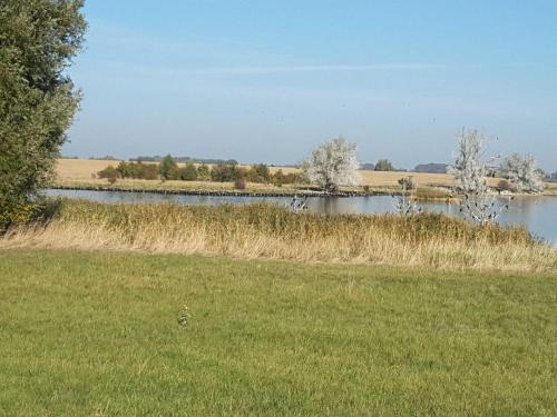 a body of water with grass and trees in the background at Ruegen Fewo 168 in Zudar