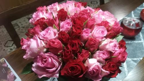 a bouquet of red and pink roses on a table at La petite maison dans la prairie in Notre-Dame-du-Touchet