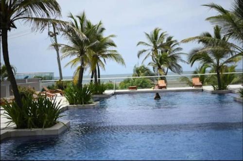 a pool with palm trees and a person swimming in it at Hermoso apartamento con todas las comodidades acceso directo a la playa ubicado en el edificio Morros Epic in Cartagena de Indias