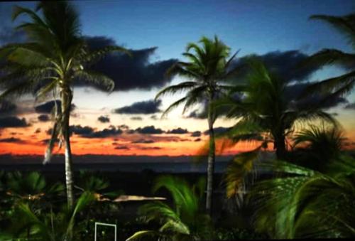 a group of palm trees in front of a sunset at Hermoso apartamento con todas las comodidades acceso directo a la playa ubicado en el edificio Morros Epic in Cartagena de Indias