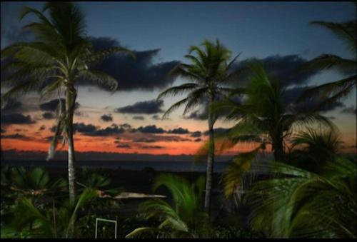 a group of palm trees in front of a sunset at Hermoso apartamento con todas las comodidades acceso directo a la playa ubicado en el edificio Morros Epic in Cartagena de Indias