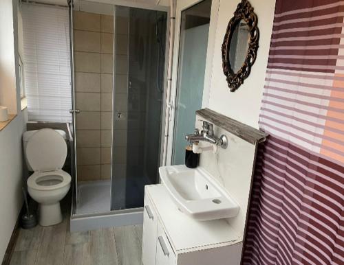 Vonios kambarys apgyvendinimo įstaigoje Cazare ieftina