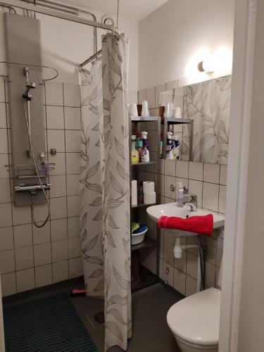 uma casa de banho com uma cortina de chuveiro e um WC em Pikkukoti Nonna em Keuruu