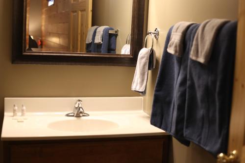 Ένα μπάνιο στο Blessing Lodge by Amish Country Lodging