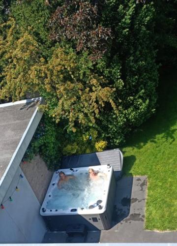 an overhead view of a swimming pool with two dogs in it at Villa Cosy Central incl Jacuzzi Near trainstation, beach and city in Heemstede