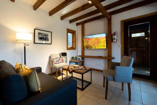 サン・マルティン・デ・ロス・アンデスにあるOliver Mountain Home Blueのリビングルーム(ソファ、椅子付)