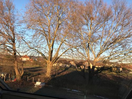 a view of trees from the window of a house at Chez Chris in Oloron-Sainte-Marie