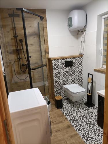 a bathroom with a shower and a toilet in it at Zielona Ostoja in Ryn