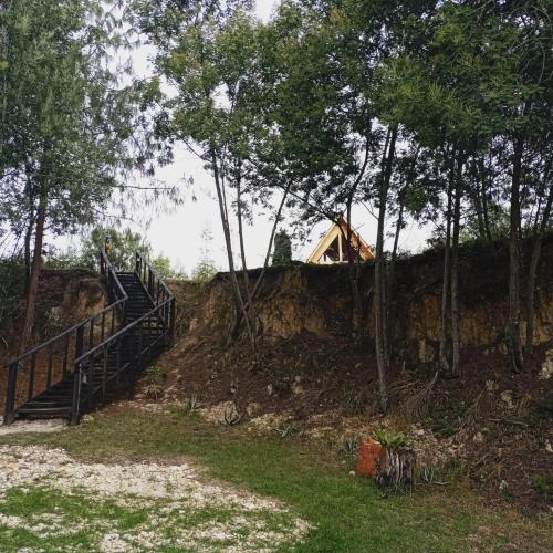 a house on a hill with stairs and trees at Glamping las 4 estaciones in Guatavita