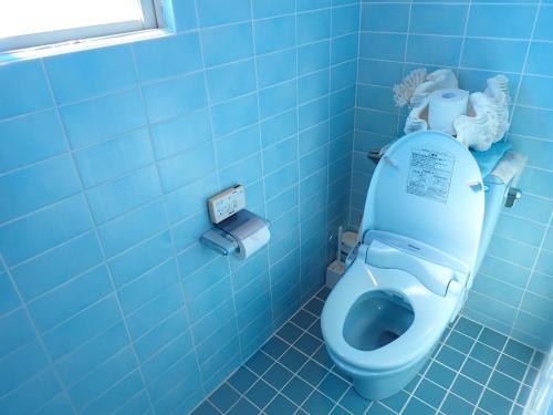 a blue bathroom with a toilet with a blue tiled wall at Villa CocoNatu - KOHAMA - in Kohama