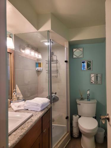 a bathroom with a shower and a toilet and a sink at Spacious Studio w/ Parking, beach/mall/park in Honolulu