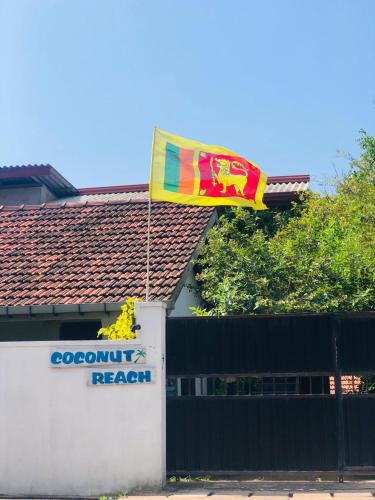 Coconut Reach – Photos 2
