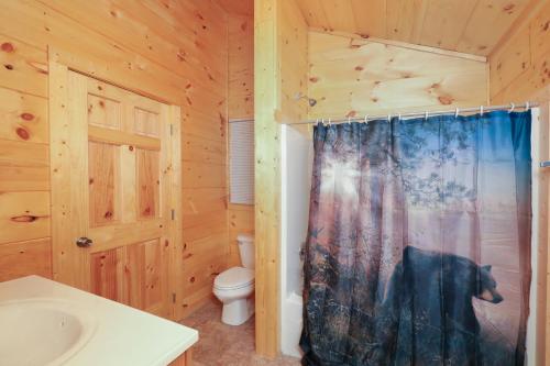 une salle de bain avec toilettes et rideau de douche dans l'établissement Deer Pass Lodge, à Pigeon Forge