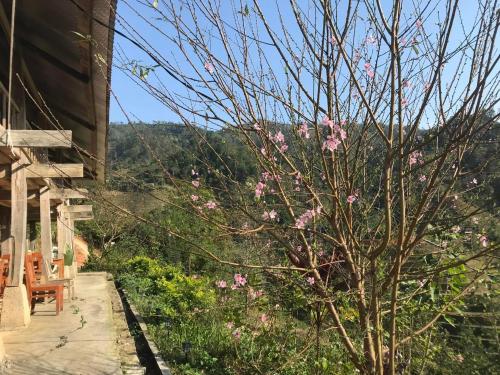 a tree with pink flowers on it next to a building at Nậm Lỳ Retreat in Ha Giang