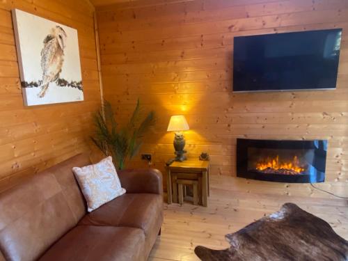 Μια τηλεόραση ή/και κέντρο ψυχαγωγίας στο Hollybush Lodges