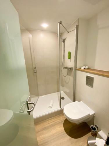a bathroom with a shower and a toilet at Landidyll Hotel Klostermühle in Münchweiler an der Alsenz