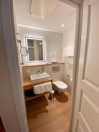 a bathroom with a sink and a toilet and a mirror at Landidyll Hotel Klostermühle in Münchweiler an der Alsenz