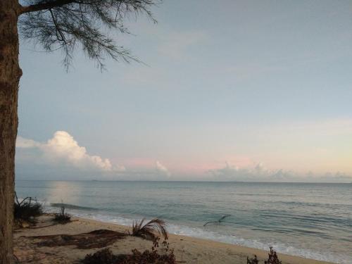 Fotografie z fotogalerie ubytování thesanctuary@telagapapan v destinaci Kampung Hulu Caluk