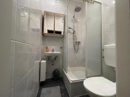 y baño con aseo, lavabo y ducha. en Tränental 4.3 en Staßfurt