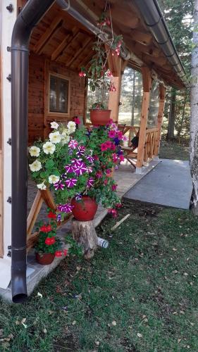 a group of flowers in pots on a porch at Brvnara 23 minimum 2 noći in Kaludjerske Bare
