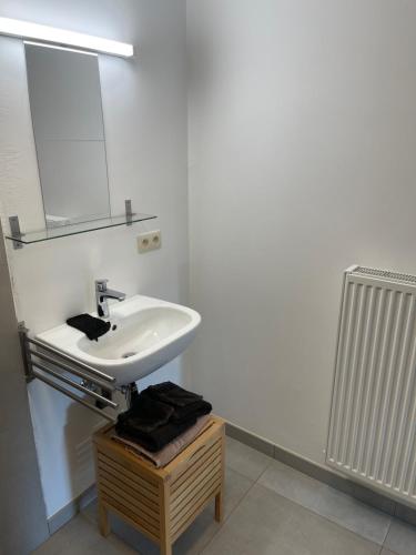 a bathroom with a sink and a mirror at Parel van Bever - Perle de Biévène in Bever