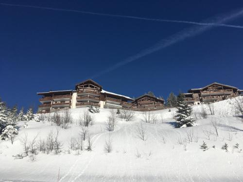 un bâtiment au sommet d'une montagne enneigée dans l'établissement La Perle Des Alpes C2, à Villard-sur-Doron