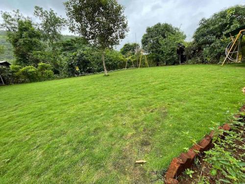 a large grassy field with a tree in the distance at RS Farms in Vasind