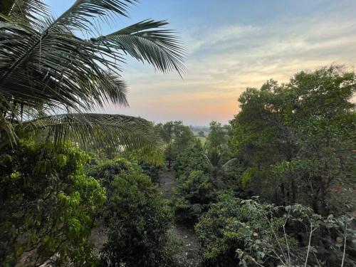 a forest of trees and bushes with a palm tree at RS Farms in Vasind