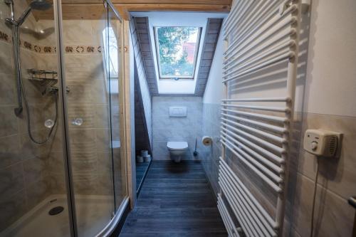 a bathroom with a toilet and a walk in shower at Ferienhaus Thüringer Wald - Garten & Terrasse in Bischofrod