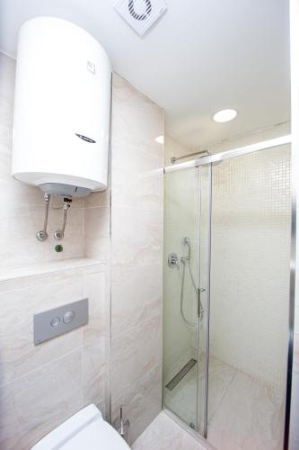 a bathroom with a shower and a toilet and a sink at Apartment Sofija in Budva