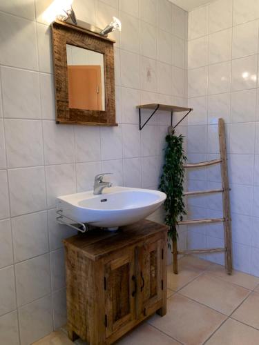 a bathroom with a sink and a mirror and a ladder at Haut de Cry in Conthey