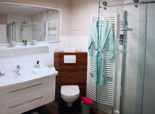 a bathroom with a shower and a toilet and a sink at Ferienwohnung Mohnbrise in Germerode