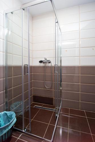 a shower with a glass door in a bathroom at Apartment Sofija in Budva