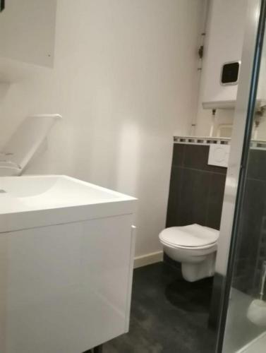 une salle de bain blanche avec des toilettes et un lavabo dans l'établissement Pau hypercentre Studio, à Pau