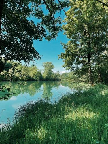 a view of a river with trees and grass at Vintage tent at the Lovsin Estate in Metlika