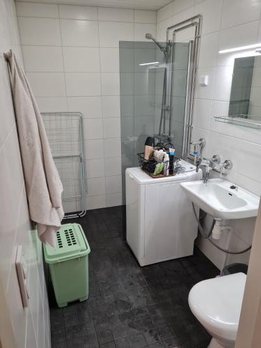 a bathroom with a sink and a toilet and a mirror at Syväraumankatu 32 as 3 in Rauma