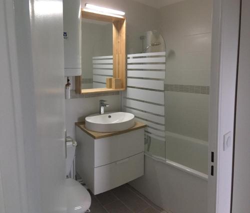 une salle de bain avec un lavabo et un miroir dans l'établissement Rez de jardin en Accès direct mer(100m) près de la Thalasso, à Cabourg