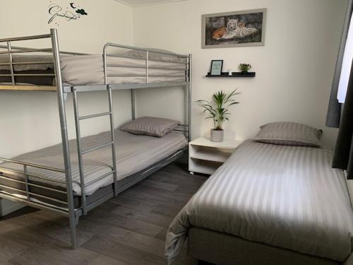 een slaapkamer met 2 stapelbedden en een bureau bij Privé chalet op vakantiepark Marina Beach in Hoek