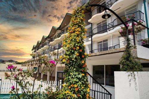 ヌワラエリヤにあるMoon Plains Luxury Apartmentsの花の木が生えている建物