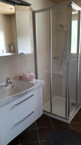 La salle de bains est pourvue d'une douche et d'un lavabo. dans l'établissement Haus Spitaler, à Hippach