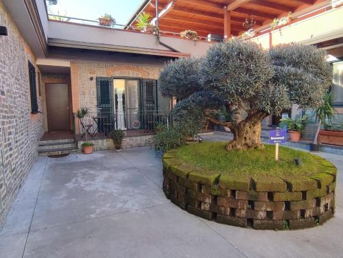 a tree in a stone circle in front of a building at Midway House Italy Apartment in Sant'Egidio del Monte Albino