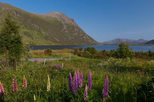 a field of flowers with a lake in the background at Cozy cabin with stunning view in Alstad